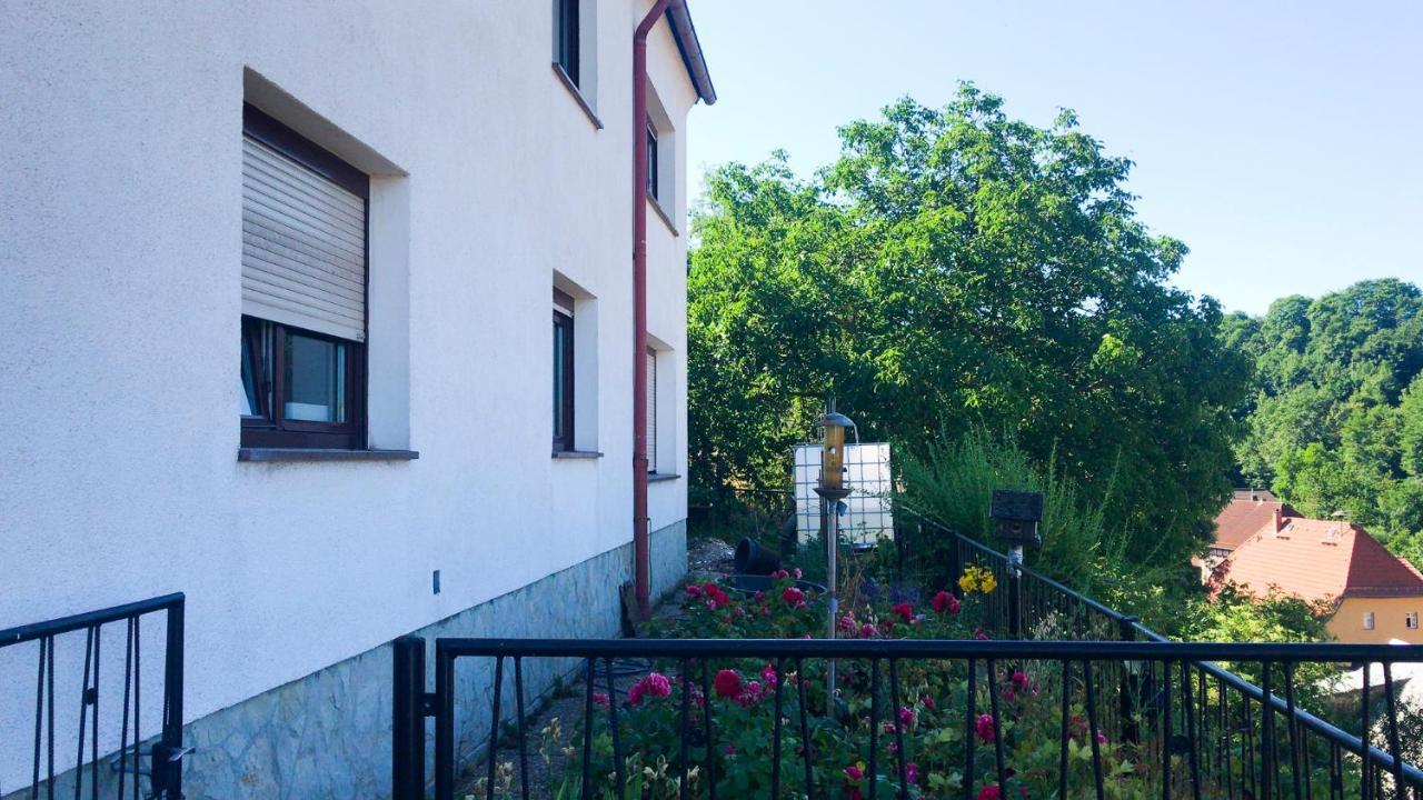 Schlossberg Apartments & Garten In Der Natur & Unweit Vom "Thueringer Meer" Unterwellenborn Zewnętrze zdjęcie